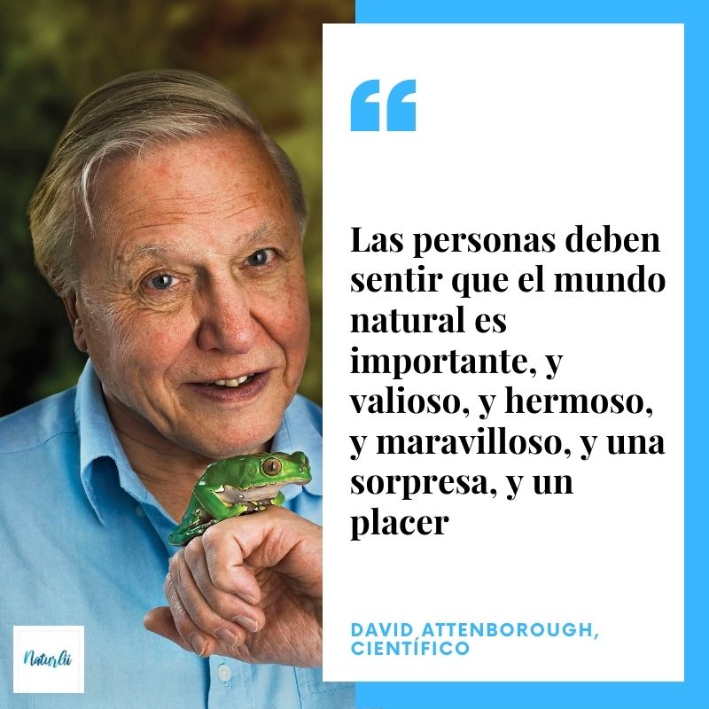 20 frases célebres de David Attenborough | Naturlii